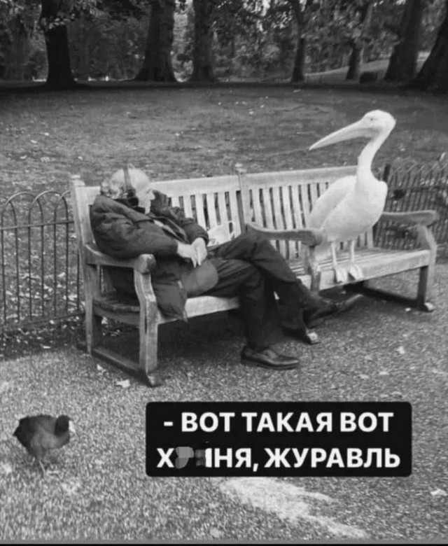 Веселые картинки в четверг (кагбы пятницо) (11.06)