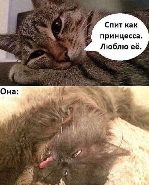 Картинки для деградации 236 (разной степени свежести)