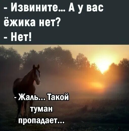 Северное сияние, лошадь, Мурманск