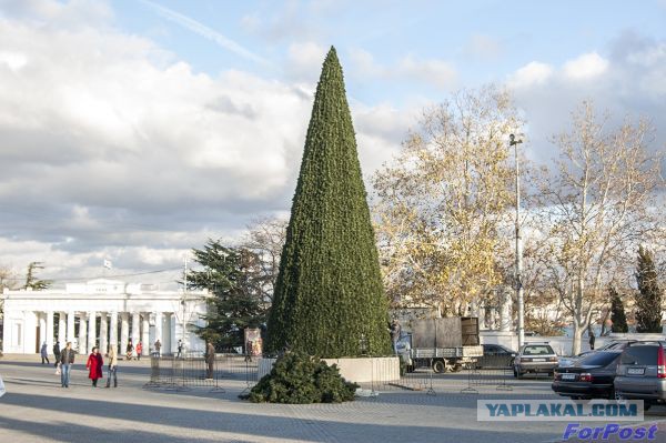 Йолка-2014