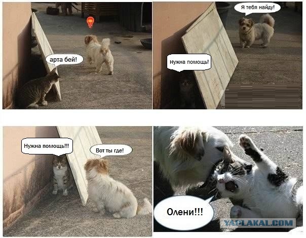 Wargaming 8