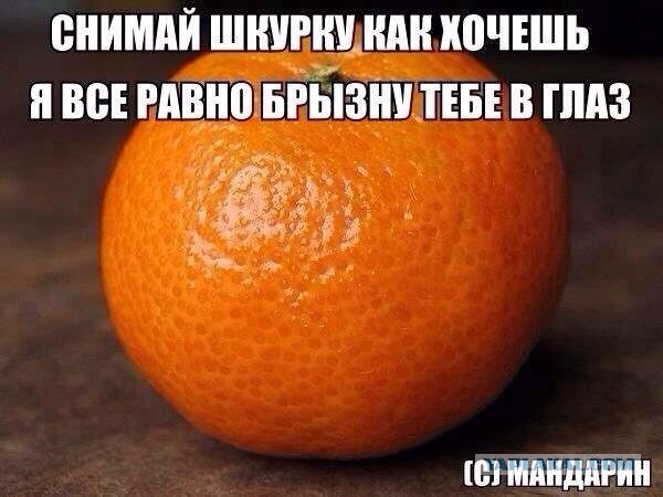 Приколы и маразмы 2
