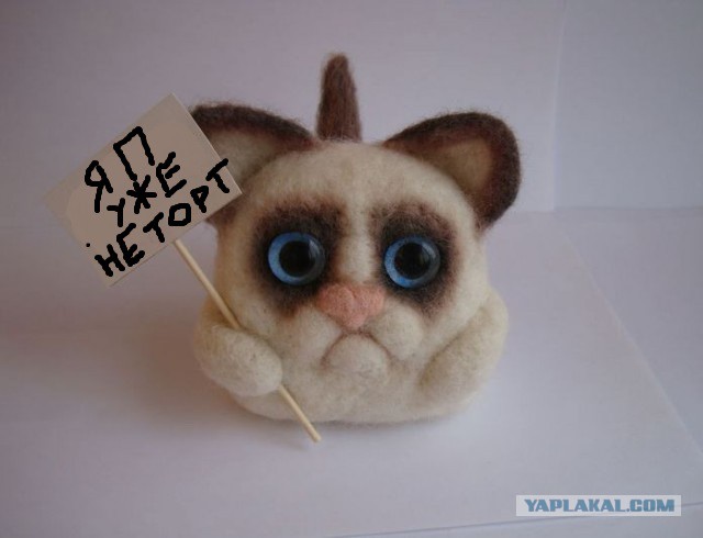 Зашел на ЯП