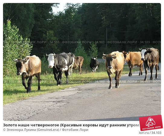Российский конвой будет уничтожен