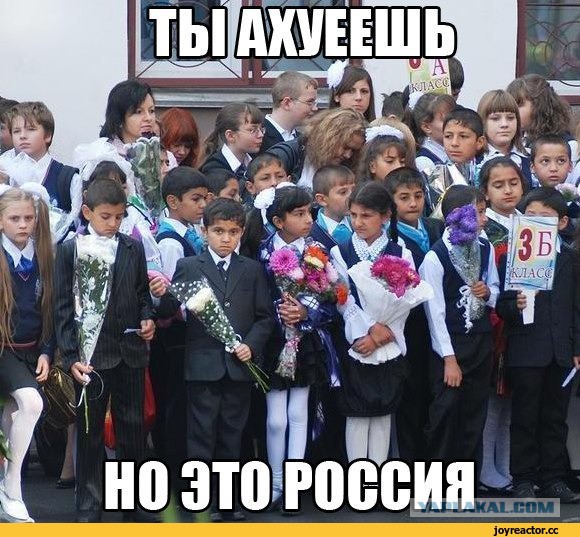3в1 или просто зае*ло