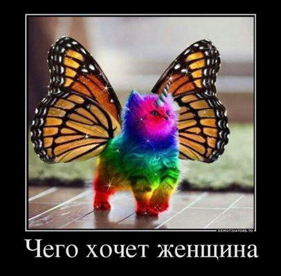 Весёлое из сети