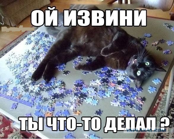 Прыгающие коты