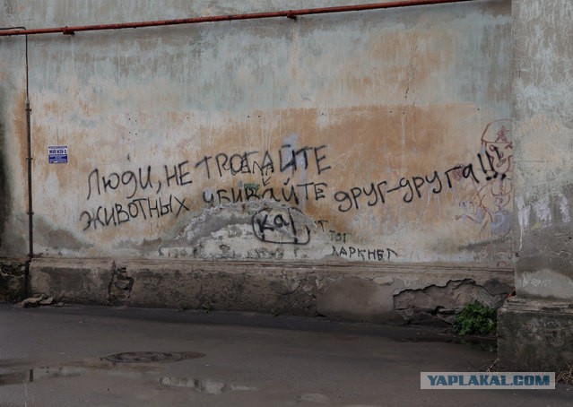 Вегетарианцам понравится -2.