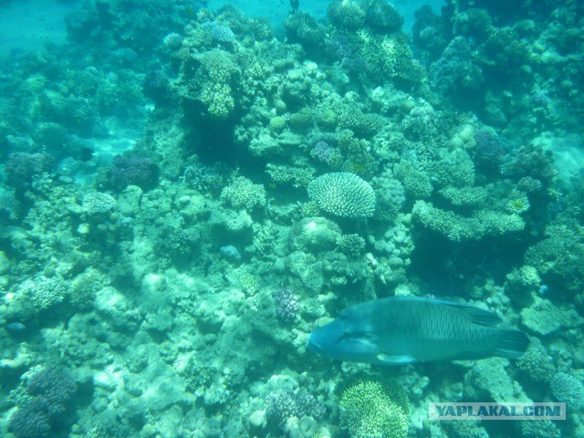 Пять дней которые потрясли мир