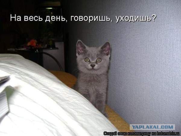 Улыбки, перед которыми невозможно устоять