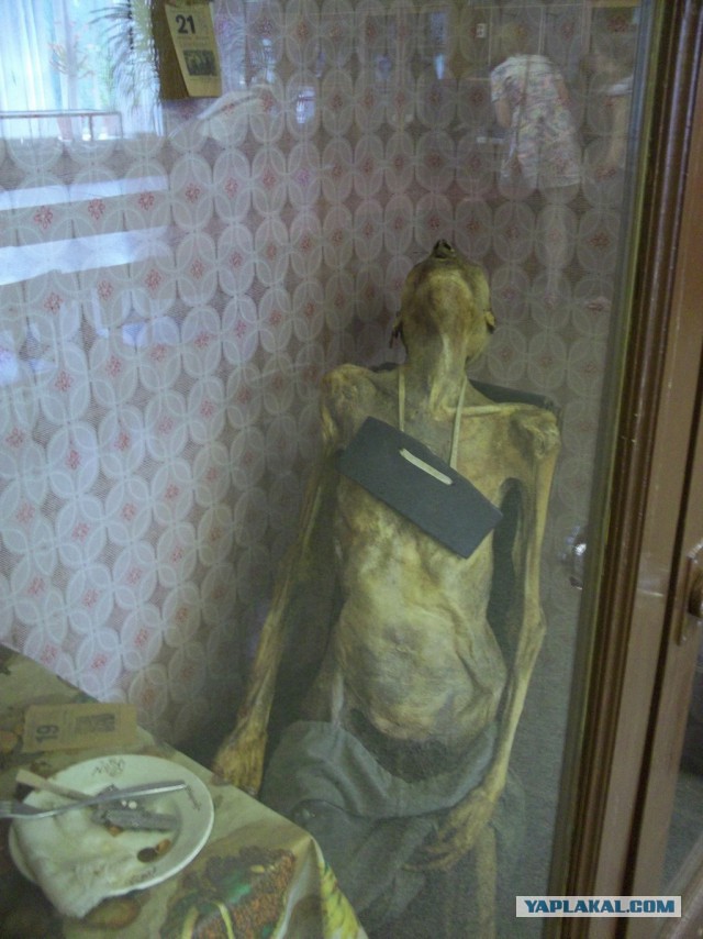 Музей судебной медицины