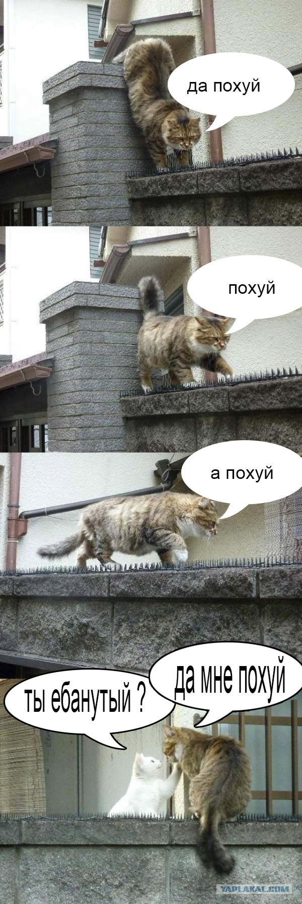 Как работает защита от голубей