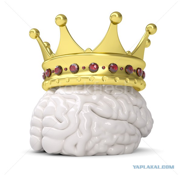 Грибной суп с куриными клёцками