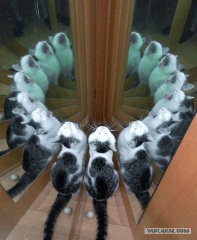 Безумные отражения, которых не должно было быть