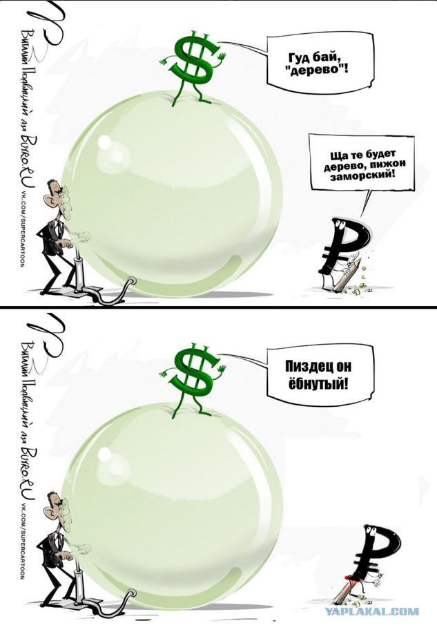 ЦБ установил рекордный курс доллара