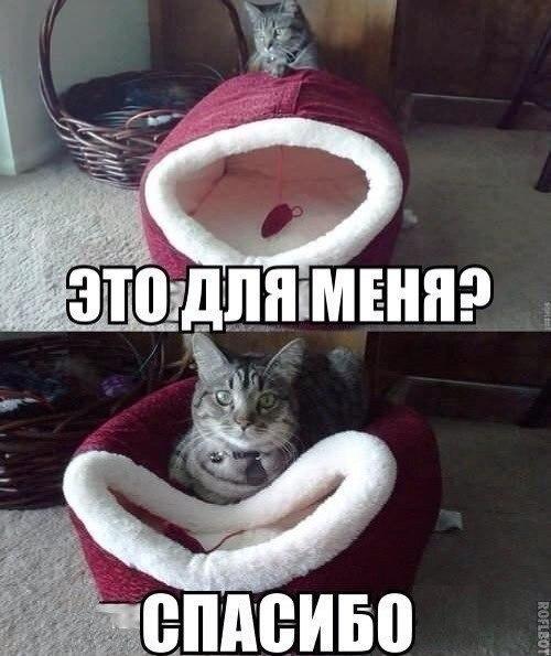 Картинки на утро вторника