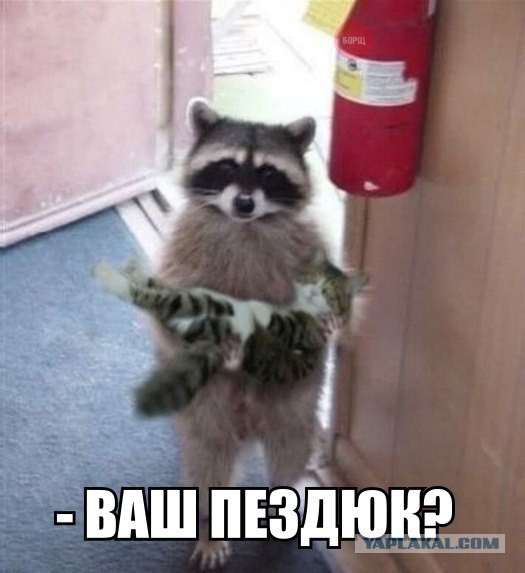 Картинки разные