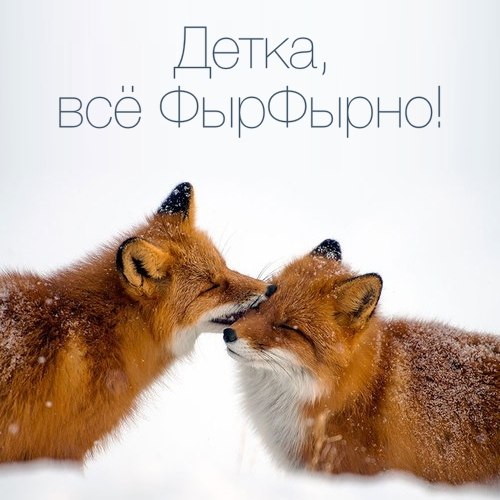 Подборка Картинок из сети