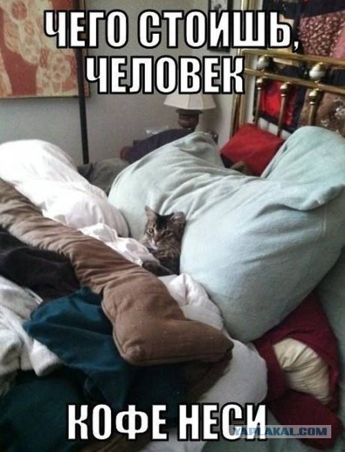 Картинки на пятницу