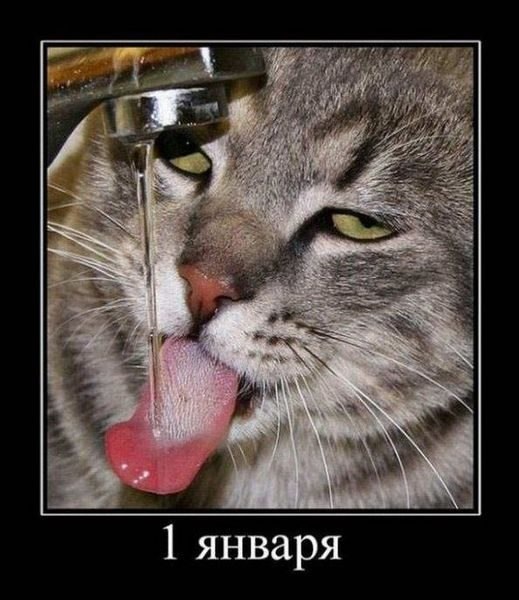 Подборка картинок