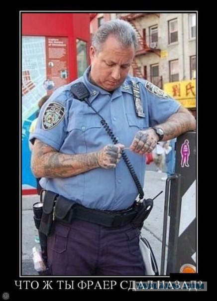 Майор полиции