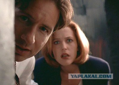 Самолет, исчезнувший в 1955 году, приземлился через 37 лет