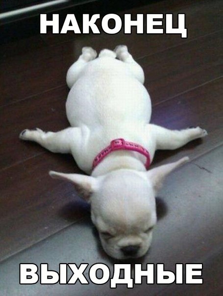 Картинки из сети (07.04.16)