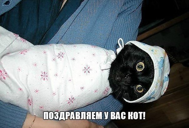 Мохнатые беспредельщики