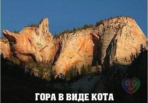 Интересные и веселые картинки