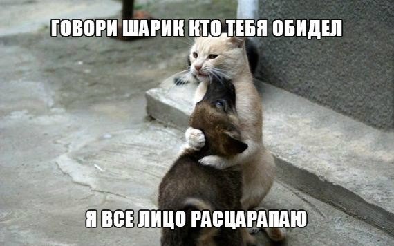 Мохнатые беспредельщики
