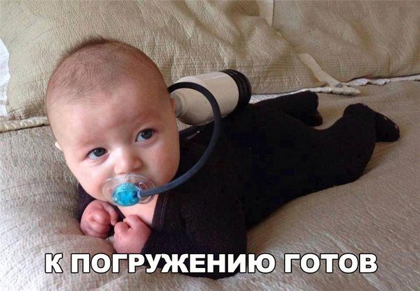 Немного картинок и гифок.