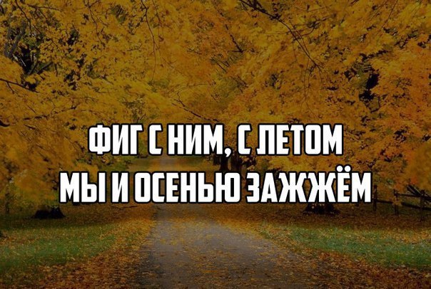 Всякое разное из интернета