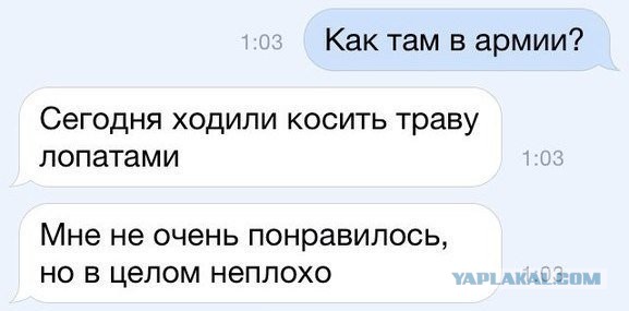 Картинки и приколы из сети, для поднятия настроения=)