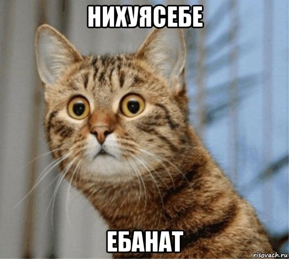 В Смоленске папаша двинул 2-летней дочке ногой по лицу