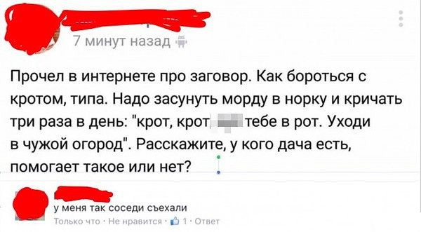 Подсмотрено на просторах