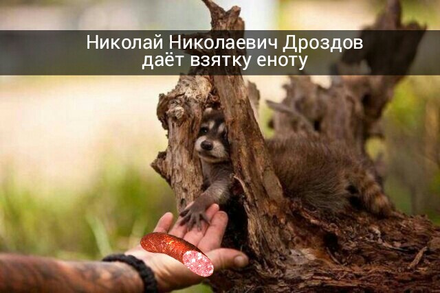 Порция картинок