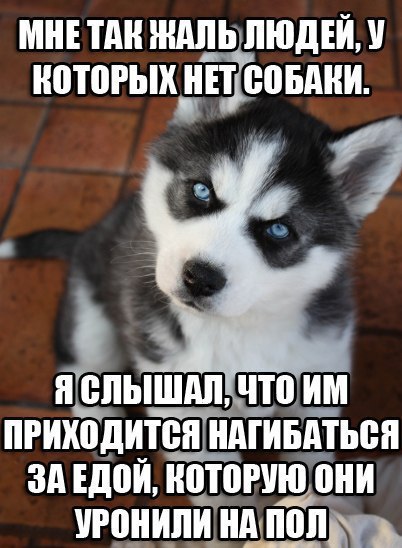 Очередная подборка школьной наркомании из соц.сетей
