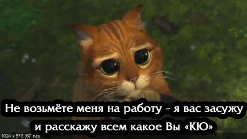 Про инвалидов