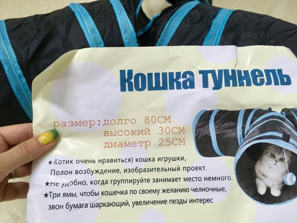 Приколы в стиле "регресс"