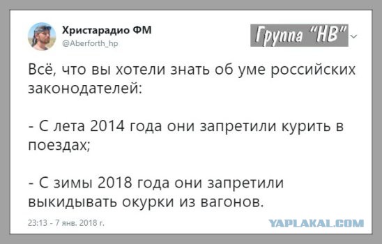 Милонов предлагает обязать устанавливать в магазинах манекены неидеальных размеров