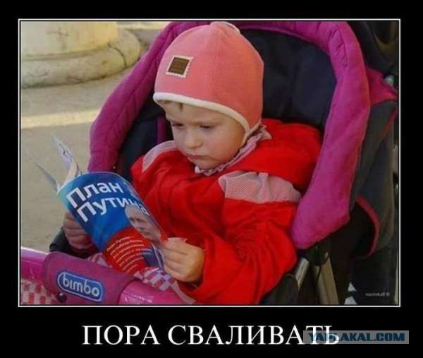 В РАН заявили о выросшей вдвое эмиграции высококвалифицированных специалистов