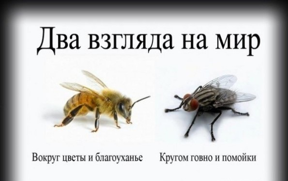 «Многие наши девочки мечтают выйти за городского». Исповедь деревенской девушки, переехавшей в Петрозаводск