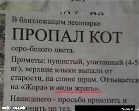 Перлы