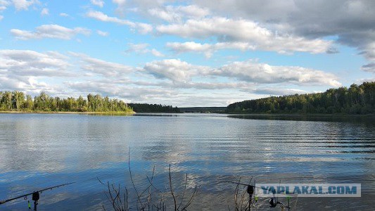 Весна, ждем рыбалки по открытой воде.