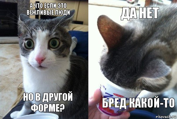 Яповцы SOS ШИЕС