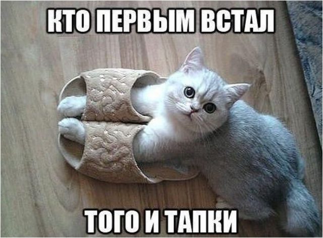 Картинки с претензией на юмор