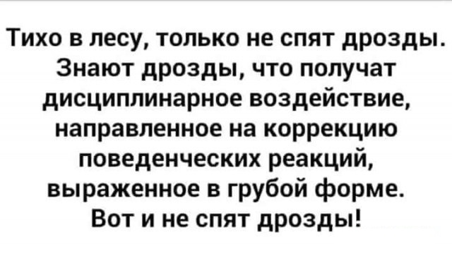 Дрозды пердят, чтобы найти пропитание, а Дарвин ел сову — 12 самых диких фактов о птицах