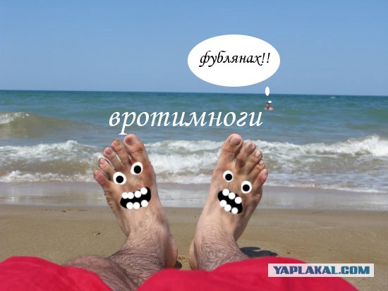 Фотожаба: Как я провел лето