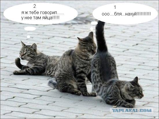 Подпиши фото!