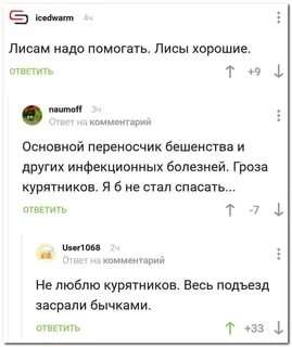 Немного картинок для настроения 15.07.20